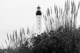 Le Phare lighthouse in Biarritz seen through coastal grass.